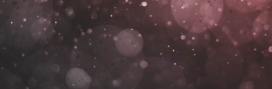 Dameon Windler Cover Image